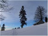 Volovljek - Kranjska reber